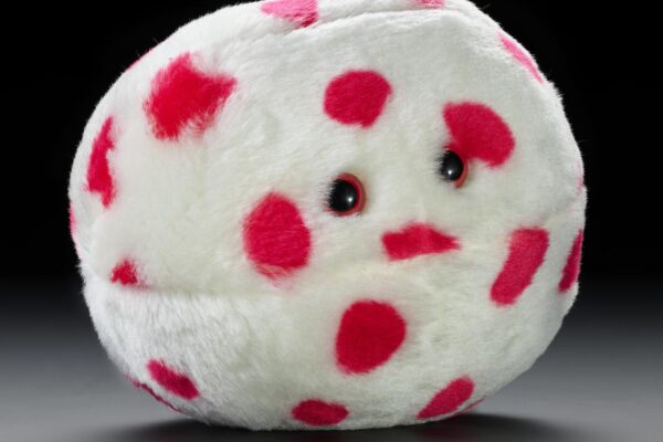 GIANTmicrobes® measles virus