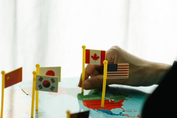 hand placing small country flags on a map